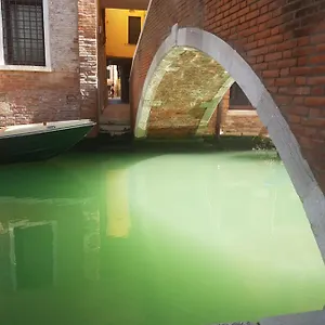 The Secret Garden In The Very Heart Of Apartamento Venecia